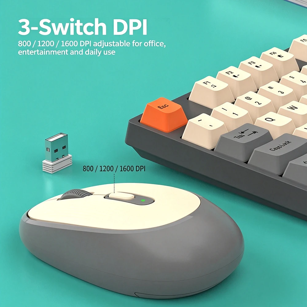 KEBIDUMEI-Juego combinado de t - Laptop Accessories Combo reseña y precio