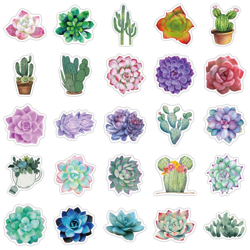 Pegatinas suculentas de 50 pie - Laptop Accessories Girly reseña y precio